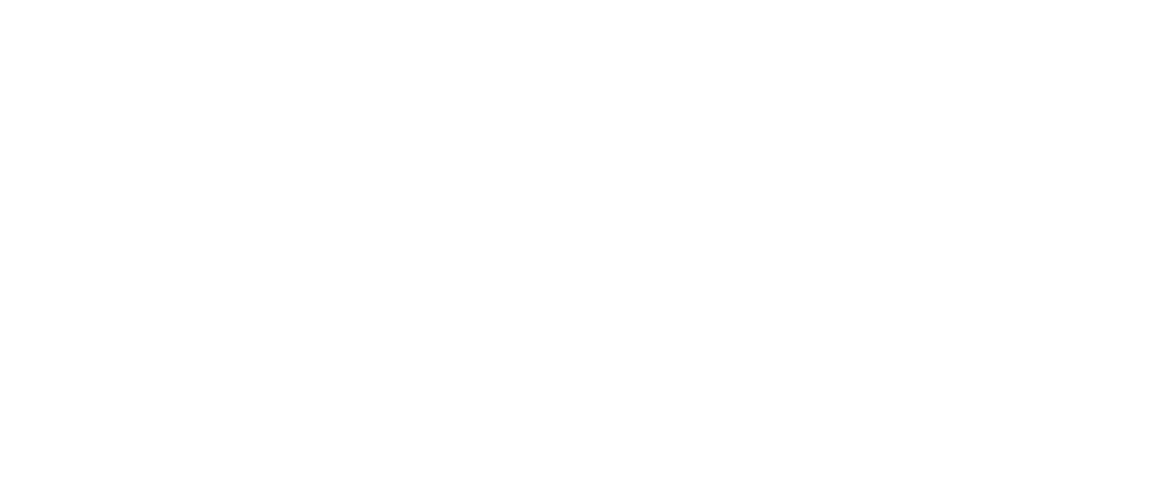 VI_Watermark_CameraToTheLeft